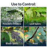 Safer’s® Defender Garden Fungicide Ready-to-Use Spray III – 1 L