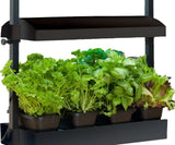 Sunblaster Micro T5 Grow Light Garden, Black
