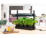 Sunblaster Micro T5 Grow Light Garden, Black