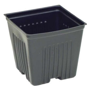 Light Plastic Pot 3.5" Square